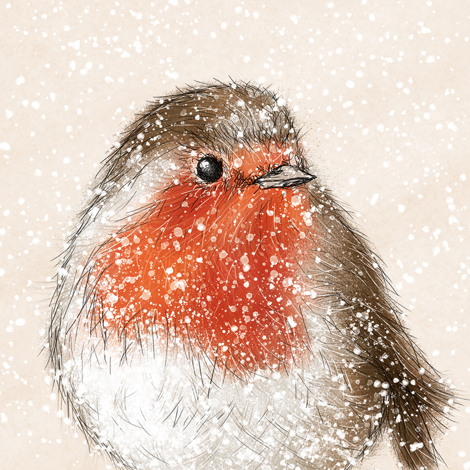 Christmas Cards 10 Pack - Snowy Robin
