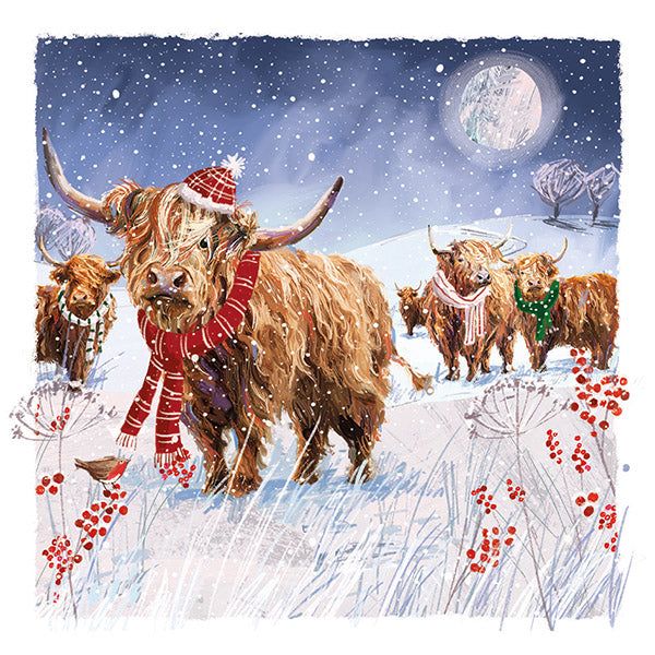 Christmas Cards 10 Pack - Fancy Scarves