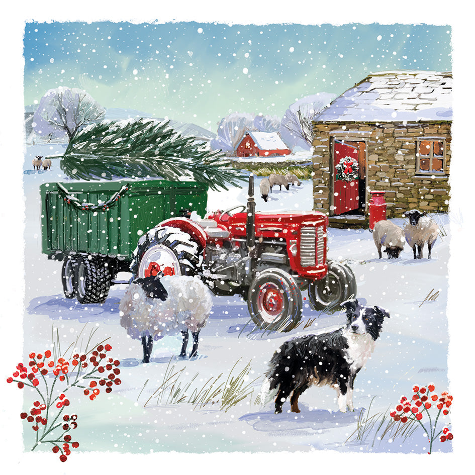 Christmas Cards 10 Pack - Snow On The Farm