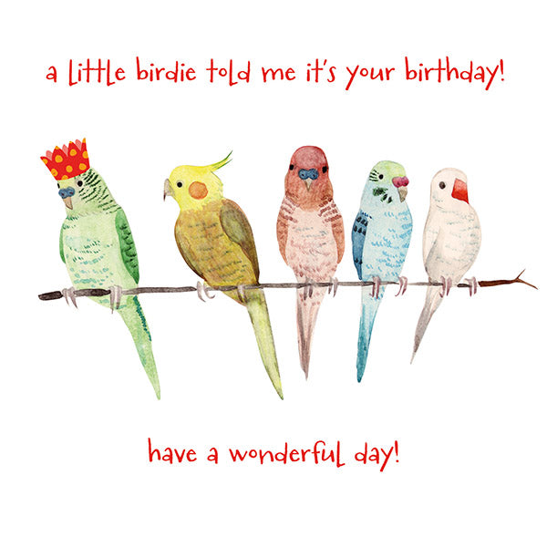 Happy Birthday - Parroty Time