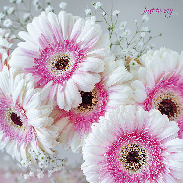 Just To Say - Gerbera and Gypsophila