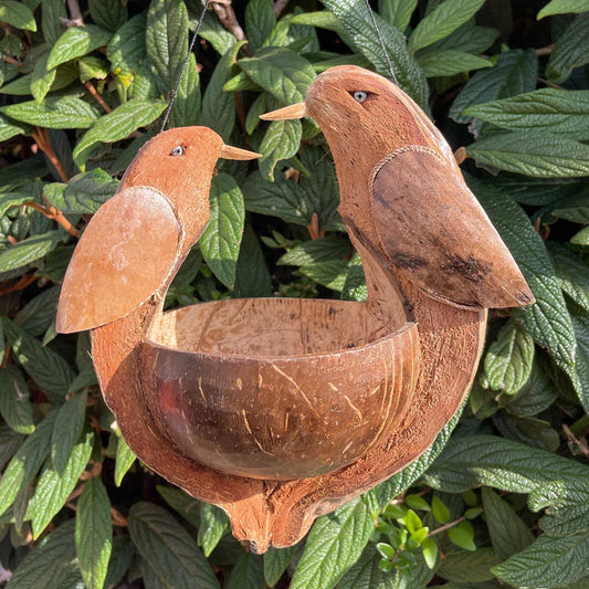 Coconut Bird Feeder - 2 Birds