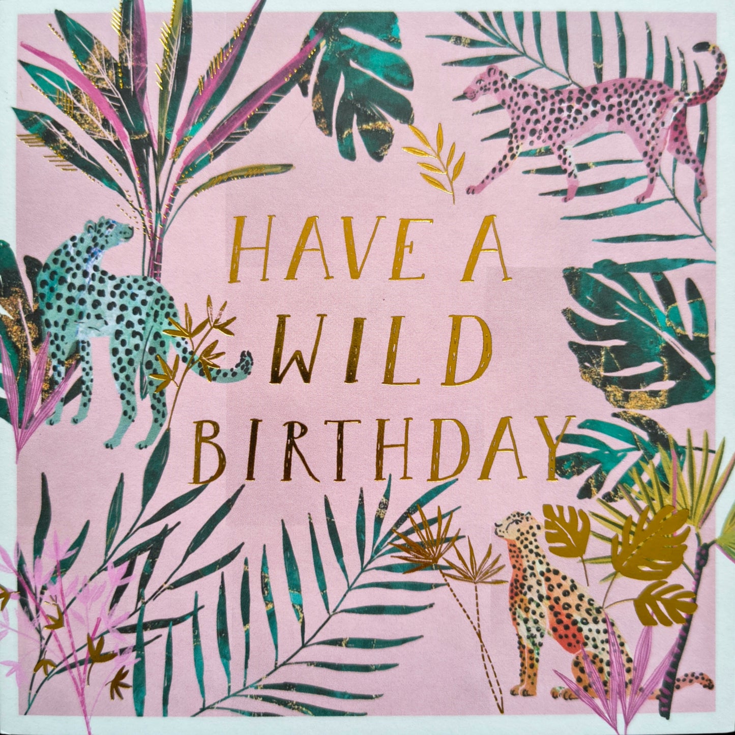 Happy Birthday - Birthday Safari