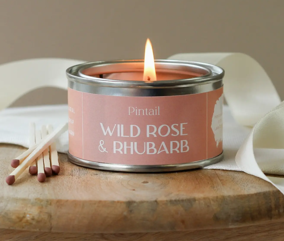 Pintail Candles - Wild Rose & Rhubarb Paint Pot Candle