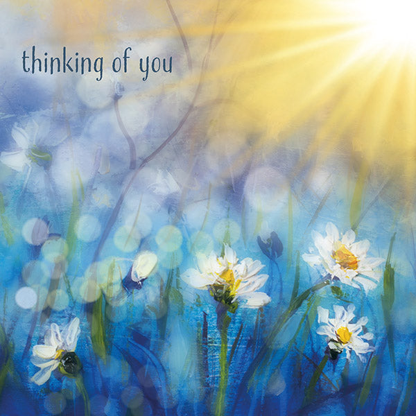 Thinking Of You - White Daisies
