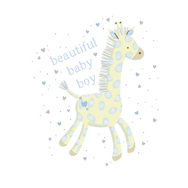 Beautiful Baby Boy - He's Arrived