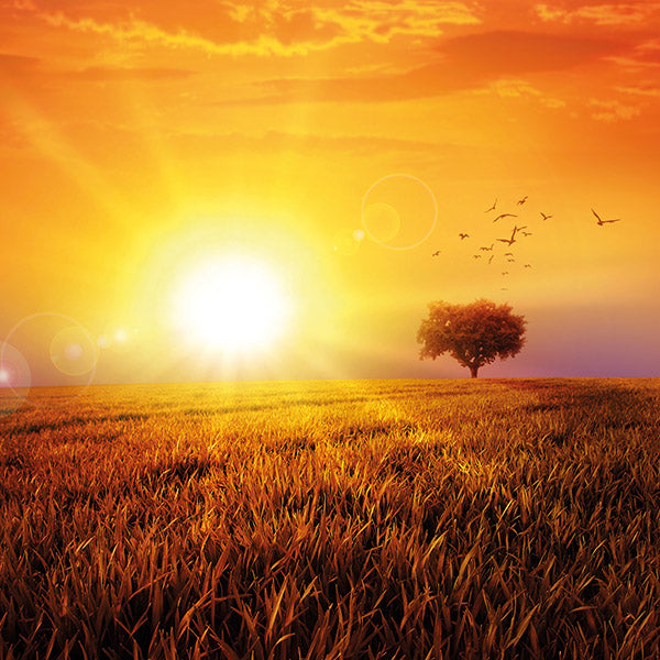 Blank - Hilltop Sunrise