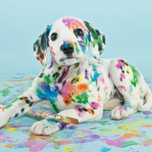 Blank - Spotty Dog