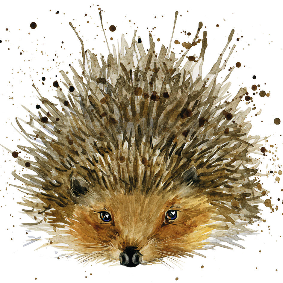 Blank - Hedgehog