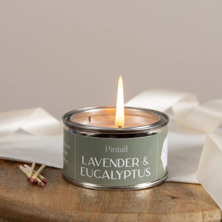 Pintail Candles - Lavender & Eucalyptus Paint Pot Candle