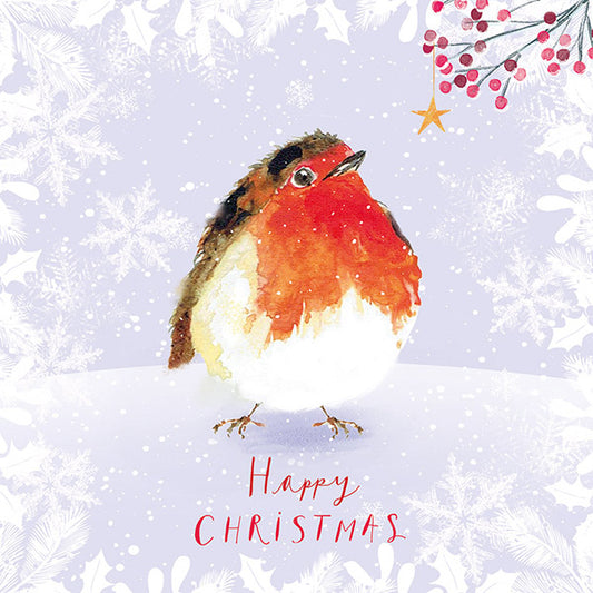 Christmas Cards 10 Pack - Red Robin
