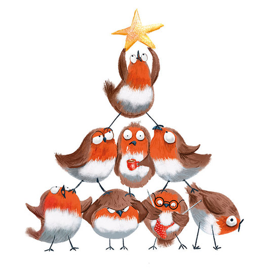 Christmas Cards 10 Pack - The Star Of The Snow