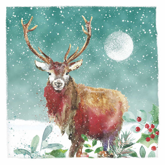 Christmas Cards 10 Pack - Colourful Stag