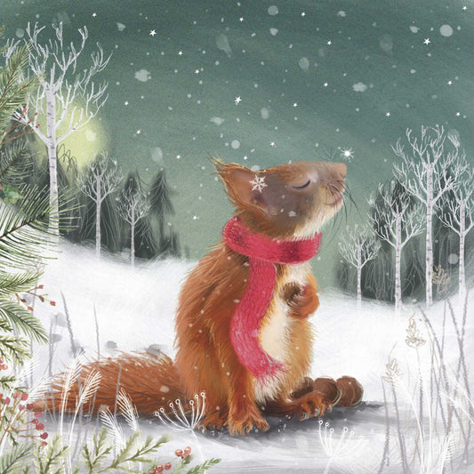 Christmas Cards 10 Pack - Squirrel at Dusk