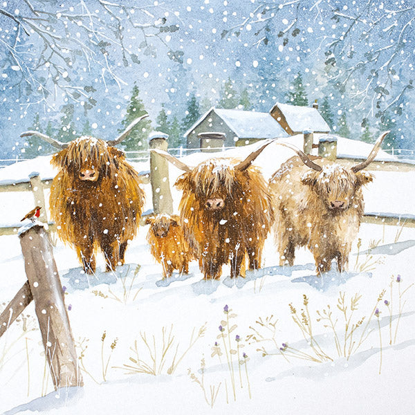 Christmas Cards 10 Pack - We Three Highland Cows and Him