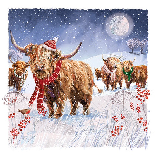Christmas Cards 10 Pack - Fancy Scarves