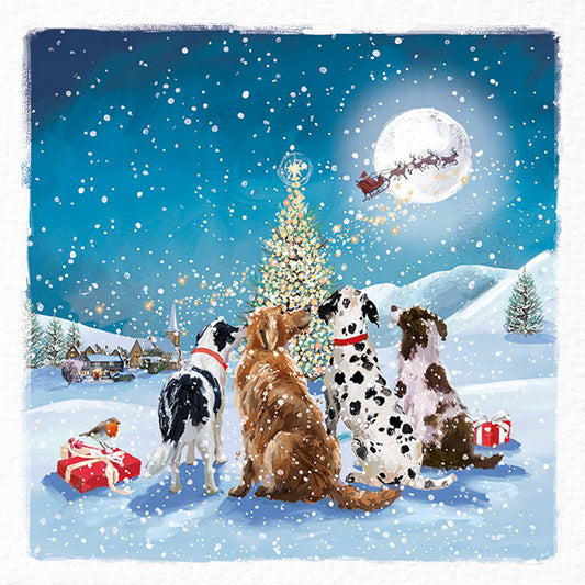 Christmas Cards 10 Pack - Have You Been Good?
