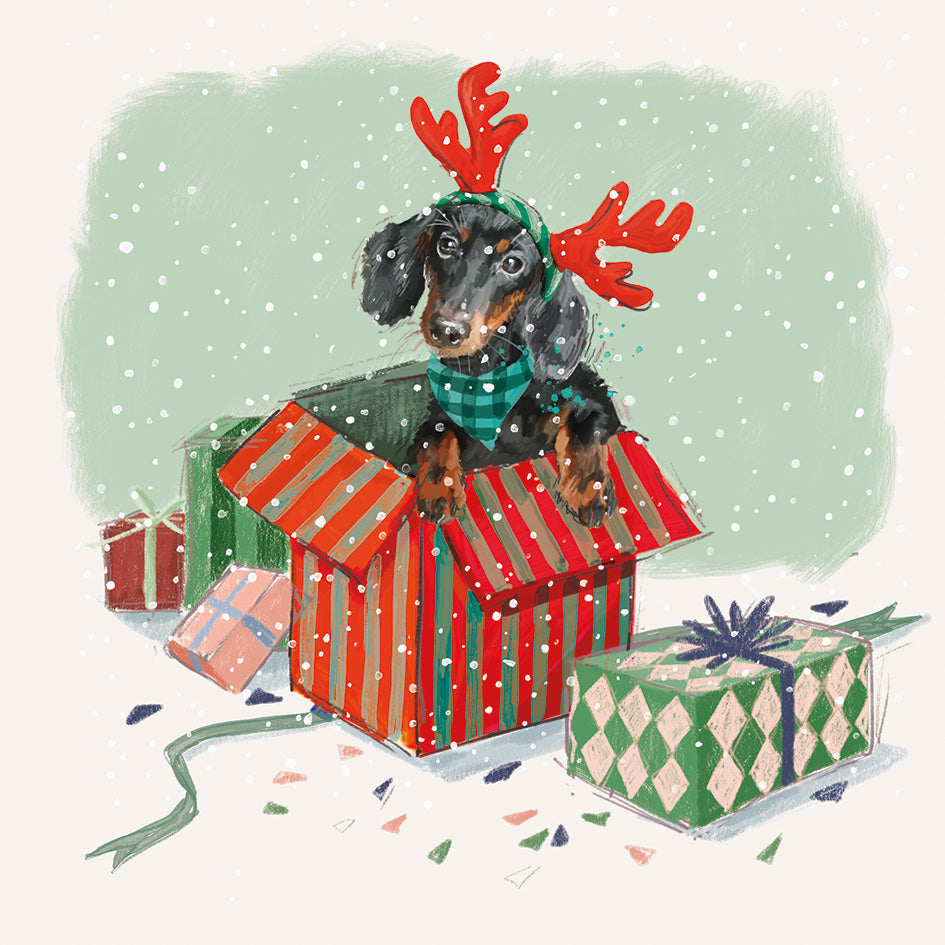 Christmas Cards 10 Pack - Christmas Wish