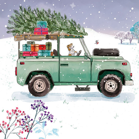 Christmas Cards 10 Pack - Christmas Delivery