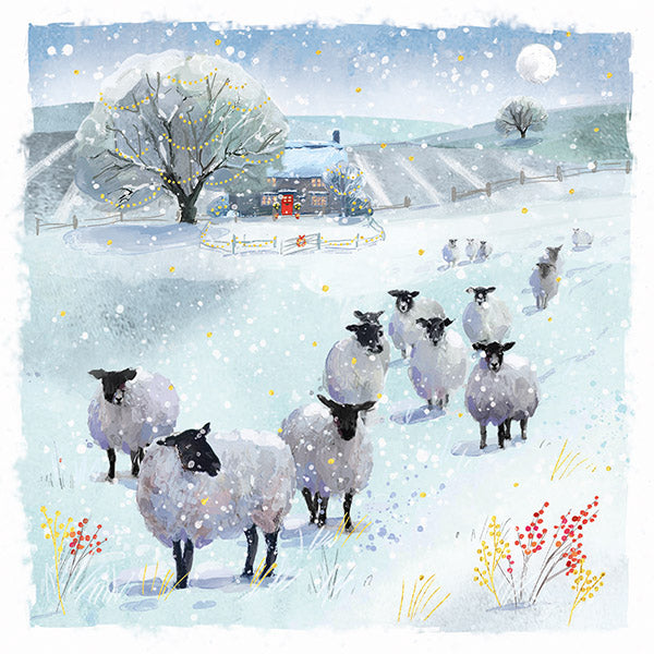 Christmas Cards 10 Pack - Flock in the Field