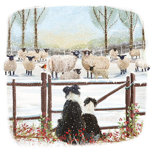 Christmas Cards 10 Pack - Watching The Flock
