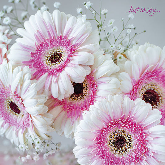 Just To Say - Gerbera and Gypsophila