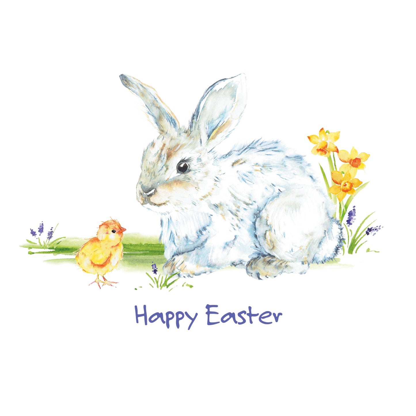 Easter Cards 5 Pack - Spring Bunny