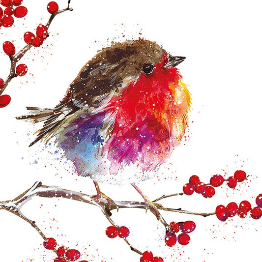 Christmas Cards 10 Pack - Fluffy Robin
