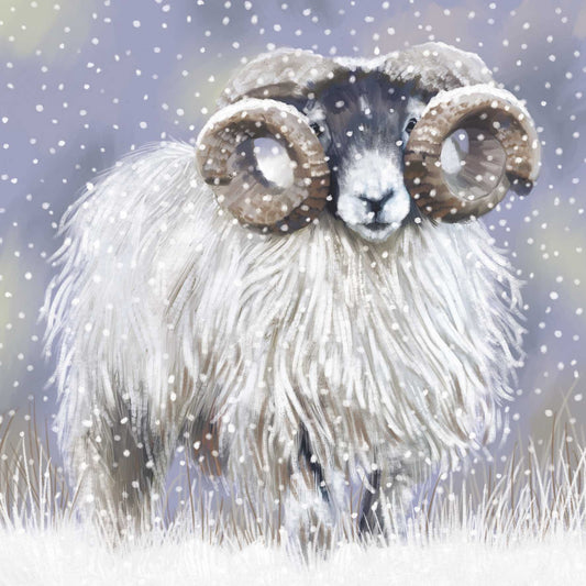 Christmas Cards 10 Pack - Winter Ram