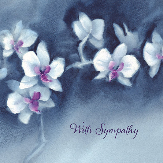 With Sympathy - White Orchid