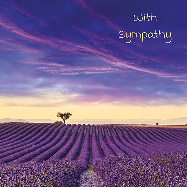 With Sympathy - Lavender Fields