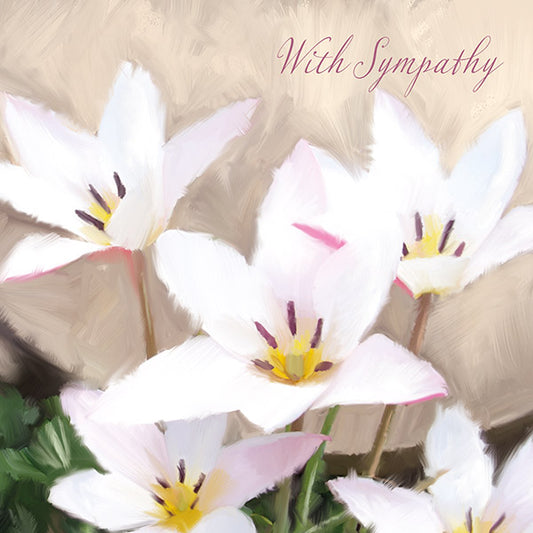 With Sympathy - White Tulips