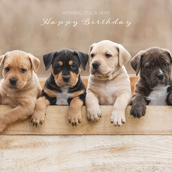 Happy Birthday - Puppy Friends