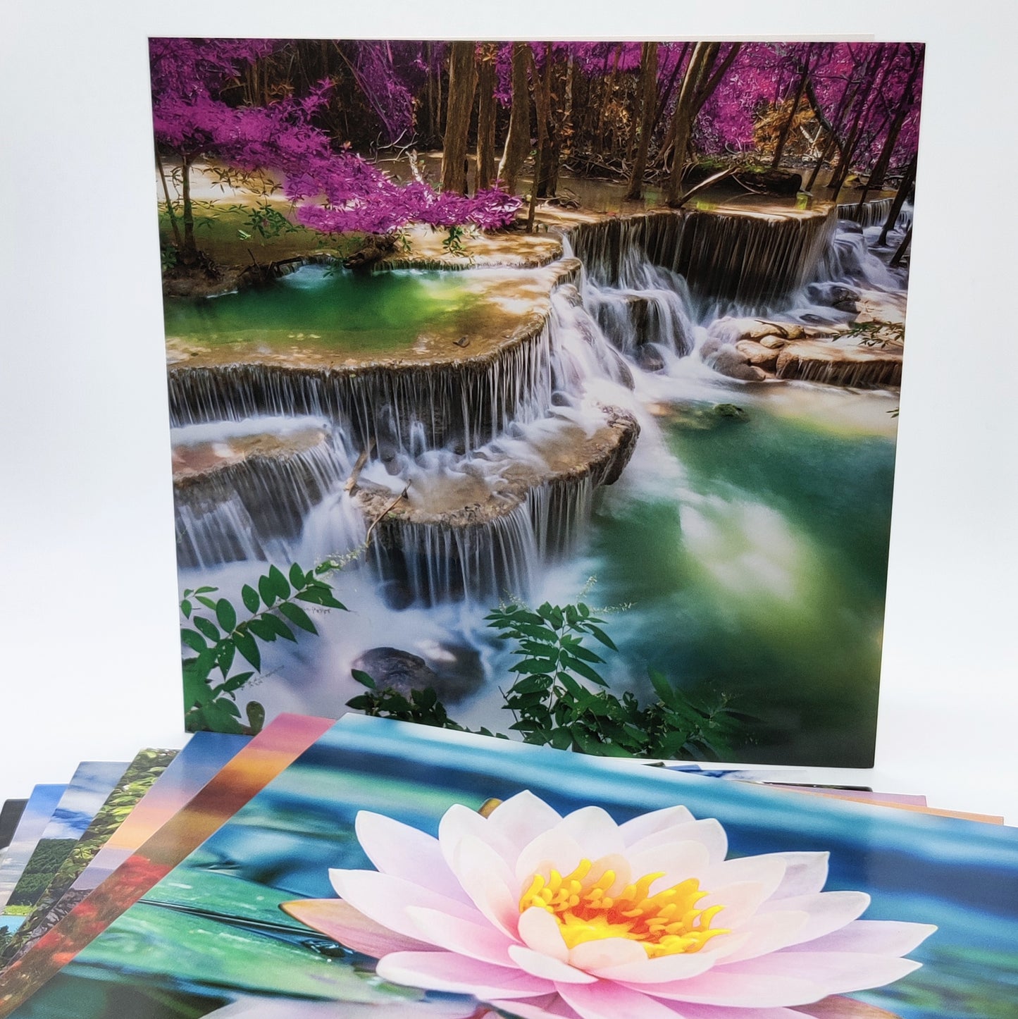 10 Photographic Greetings Cards
